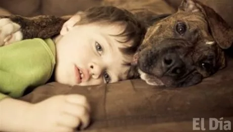 http://eldia.com.do/image/article/50/460×390/0/6A1AC6A3-461E-4D2A-84CA-B8908185A9B4.jpeg
