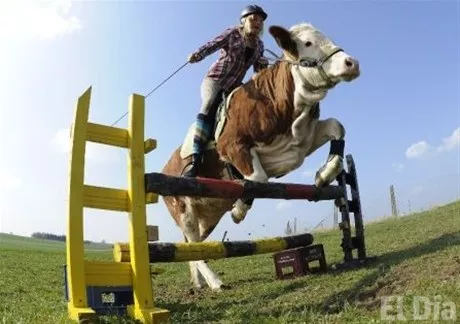http://eldia.com.do/image/article/58/460×390/0/43B4BE99-D9CF-4907-9411-BD2C93CD6BD0.jpeg