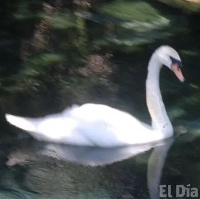 http://eldia.com.do/image/article/61/460×390/0/13FC1399-0D52-457F-B943-AB5259D2CDD4.jpeg