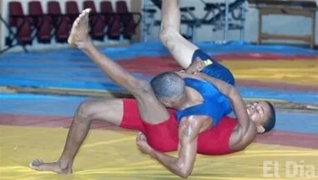 http://eldia.com.do/image/article/61/460×390/0/28015328-9291-4904-A436-DAAFFFDF0FD2.jpeg