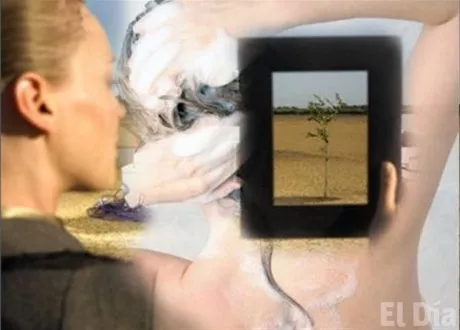 http://eldia.com.do/image/article/62/460×390/0/5DED4D58-C216-4C50-ACEC-D5D1461CB695.jpeg