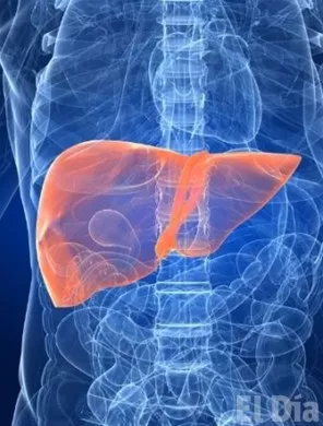 http://eldia.com.do/image/article/65/460×390/0/5857E867-7A6F-49D0-8CF0-80F7950421E9.jpeg