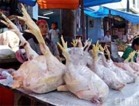http://eldia.com.do/image/article/66/460×390/0/B106CB61-046B-406C-B92D-0C0C01F2F661.jpeg