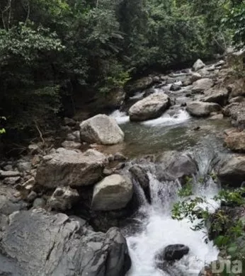 http://eldia.com.do/image/article/72/460×390/0/A6E4ADB5-F5F0-46BC-A567-F562403E44A8.jpeg