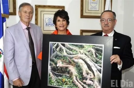 http://eldia.com.do/image/article/76/460×390/0/409D21E4-6B88-4170-9C32-EAB74C43D634.jpeg