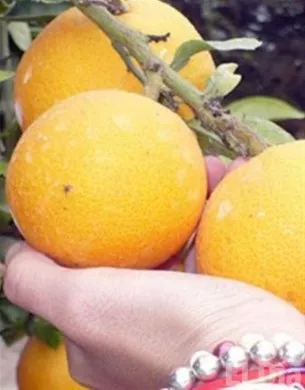 http://eldia.com.do/image/article/73/460×390/0/764F2FF9-8F69-493C-A1B9-507FD1EC3191.jpeg