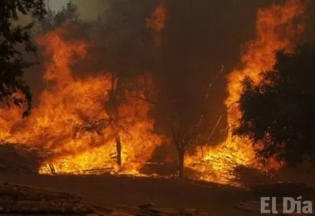 http://eldia.com.do/image/article/74/460×390/0/C129FE2A-F99B-4AAE-8A68-03327282D593.jpeg