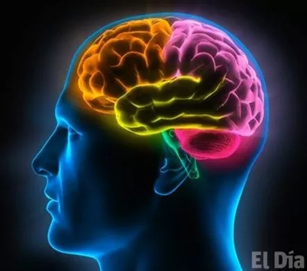 http://eldia.com.do/image/article/75/460×390/0/CCA14572-4640-4B23-9296-157B4CBB59E4.jpeg