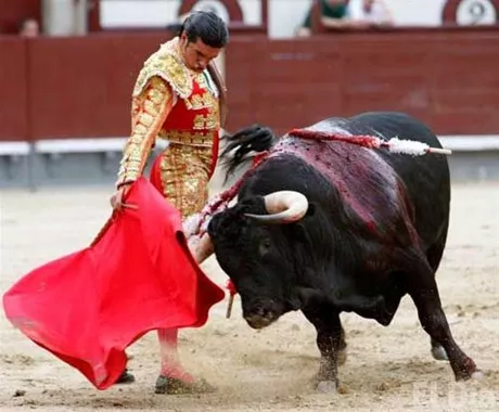 http://eldia.com.do/image/article/76/460×390/0/CD686EAE-6D9B-4BC4-938F-32161A5DECC9.jpeg