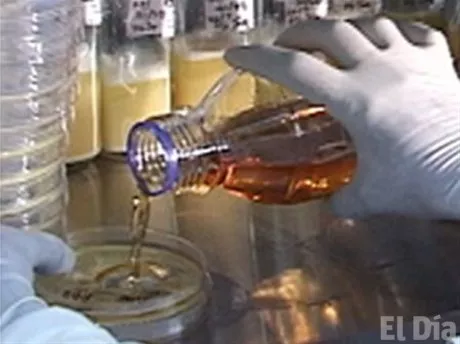 http://eldia.com.do/image/article/76/460×390/0/0066BE7A-6629-48A8-8B47-A8EBDE4D765D.jpeg