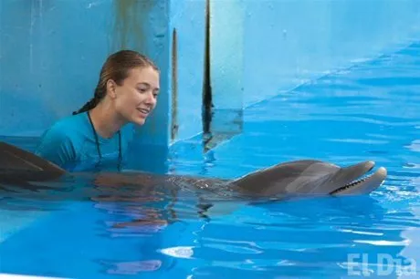 http://eldia.com.do/image/article/77/460×390/0/0A206535-D770-437B-92B0-310BB136B031.jpeg