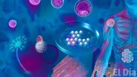 http://eldia.com.do/image/article/76/460×390/0/9F619D4E-1619-4F4C-99A1-F92A97A55706.jpeg