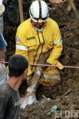 http://eldia.com.do/image/article/80/460×390/0/22EA7109-CCEF-439F-AA70-39E29F5EBC1F.jpeg