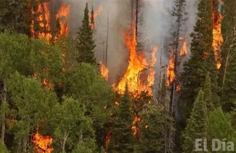 http://eldia.com.do/image/article/84/460×390/0/32B342F5-844A-48C6-90D9-83924A79918A.jpeg