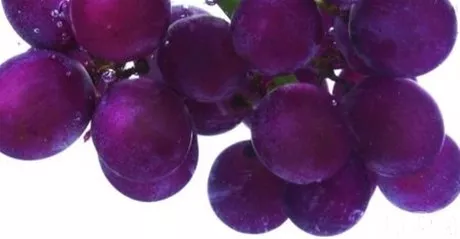 http://eldia.com.do/image/article/86/460×390/0/48015D5F-9402-462C-9FE1-5951CB0B450C.jpeg