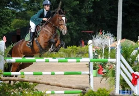 http://eldia.com.do/image/article/87/460×390/0/6A078033-F5FE-49F4-82B6-6566B299F58F.jpeg