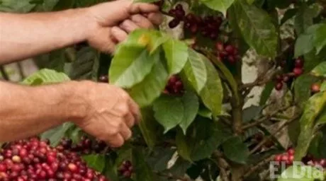 http://eldia.com.do/image/article/88/460×390/0/B0787275-68A3-4A3F-96A7-531C6F0C5FA3.jpeg
