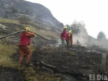 http://eldia.com.do/image/article/87/460×390/0/BE6F0F78-6EDA-4936-8906-B7FDC08F7763.jpeg