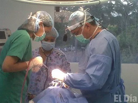 http://eldia.com.do/image/article/88/460×390/0/FFD4367F-5C6E-4924-8007-314F5121945C.jpeg http://eldia.com.do/image/article/88/460×390/0/FFD4367F-5C6E-4924-8007-314F5121945C.jpeg