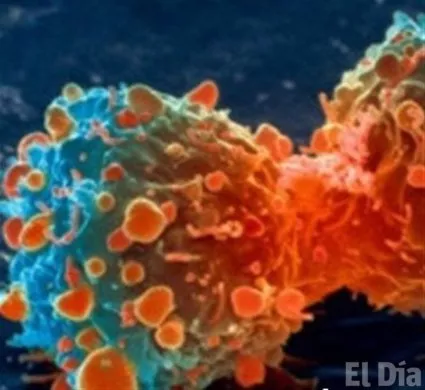 http://eldia.com.do/image/article/91/460×390/0/456BE333-7802-428E-8001-8EE3D23449CC.jpeg