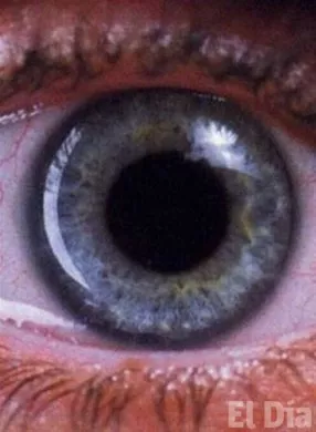 http://eldia.com.do/image/article/94/460×390/0/4EB996A6-68C4-4E97-8E8B-83D0FC776996.jpeg