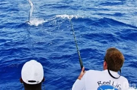 http://eldia.com.do/image/article/101/460×390/0/6B0021B6-E41C-49AB-99FF-953B28F3E16E.jpeg
