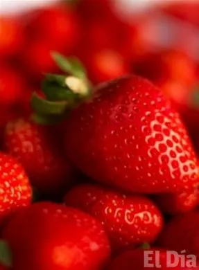 http://eldia.com.do/image/article/100/460×390/0/8DA43CCC-34C3-446E-A3B9-DDC70F49248F.jpeg