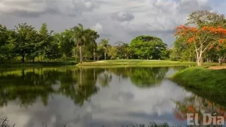 http://eldia.com.do/image/article/105/460×390/0/DDA63902-090E-4259-A56D-EE7973794B73.jpeg
