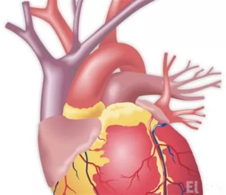 http://eldia.com.do/image/article/115/460×390/0/031EC875-5E81-4644-8834-3567259166FB.jpeg