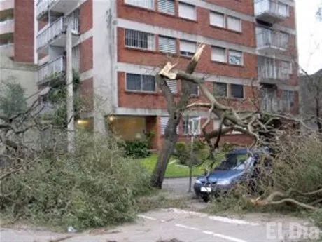 http://eldia.com.do/image/article/116/460×390/0/2375FE9B-E364-4A09-B89B-A61580A5E7EE.jpeg http://eldia.com.do/image/article/116/460×390/0/2375FE9B-E364-4A09-B89B-A61580A5E7EE.jpeg