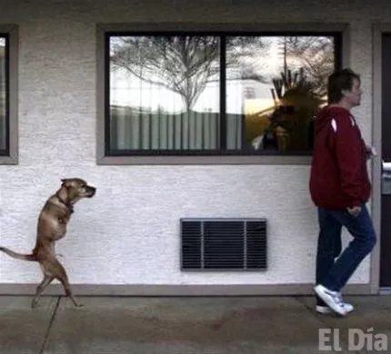 http://eldia.com.do/image/article/121/460×390/0/31AB2845-EEE8-47C5-ACCE-0E1D89804A6A.jpeg
