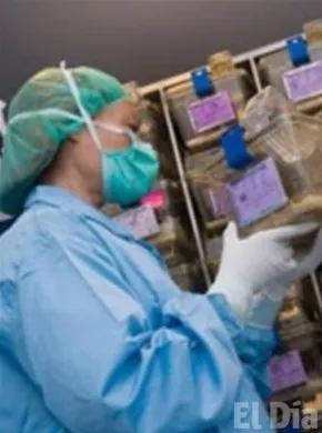 http://eldia.com.do/image/article/119/460×390/0/70D6FB12-7CF2-4E96-9B5C-6675C4448C03.jpeg