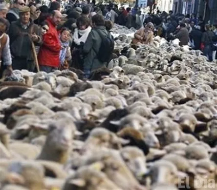 http://eldia.com.do/image/article/122/460×390/0/96B3E82F-C531-4439-B724-FCA56D08E3BB.jpeg