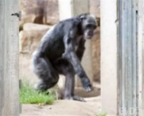 http://eldia.com.do/image/article/124/460×390/0/2C9E63DB-A6BB-4566-8D7E-2A3BF7C85E9D.jpeg