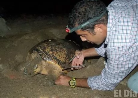 http://eldia.com.do/image/article/124/460×390/0/3E660DAA-EC63-4DB5-B97A-F18157216D8C.jpeg