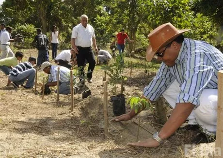 http://eldia.com.do/image/article/124/460×390/0/F3B5CDE3-BA59-4A0F-BD6A-FC050506560A.jpeg