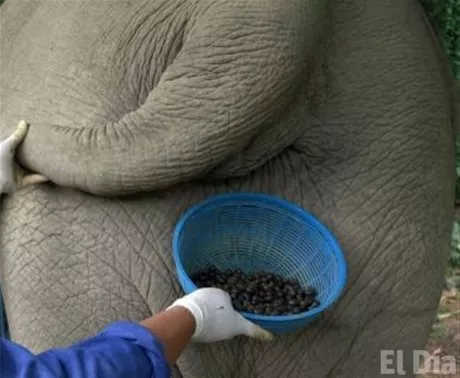 http://eldia.com.do/image/article/127/460×390/0/6441A549-081F-49F6-96D8-AE2EA8172430.jpeg