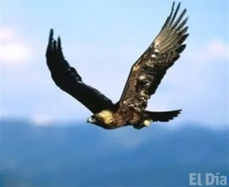 http://eldia.com.do/image/article/128/460×390/0/7FA16FF1-5F8B-4672-B8E9-05B4FB1B1BDC.jpeg http://eldia.com.do/image/article/128/460×390/0/7FA16FF1-5F8B-4672-B8E9-05B4FB1B1BDC.jpeg