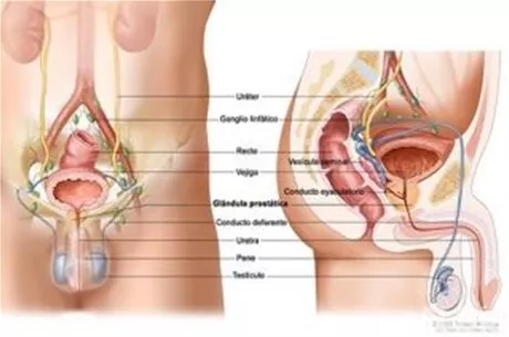 http://eldia.com.do/image/article/127/460×390/0/A957B8A8-6020-4B2A-91E3-B0DADD59A9CD.jpeg http://eldia.com.do/image/article/127/460×390/0/A957B8A8-6020-4B2A-91E3-B0DADD59A9CD.jpeg