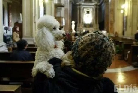 http://eldia.com.do/image/article/131/460×390/0/1E39CAE8-EAED-45F5-ADA4-F3C890F1602D.jpeg