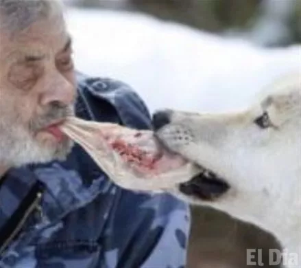 http://eldia.com.do/image/article/132/460×390/0/2E8346F9-CD08-49AA-A10B-36B22A52709C.jpeg