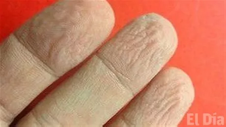 http://eldia.com.do/image/article/130/460×390/0/3EE9E119-D485-4D7D-B322-03AC5C0A6E2E.jpeg