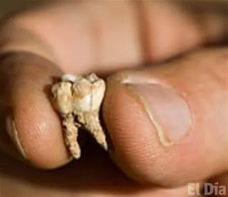 http://eldia.com.do/image/article/129/460×390/0/ADE77847-F5E3-4369-AD16-AAFE7B949B06.jpeg