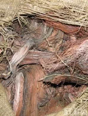 http://eldia.com.do/image/article/133/460×390/0/1D7B9E32-6E20-4C1B-B299-B1CCB9DD43F4.jpeg