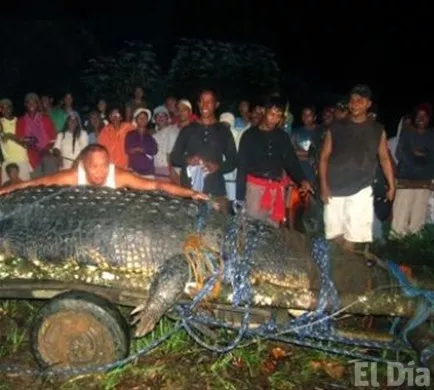 http://eldia.com.do/image/article/134/460×390/0/D2BC69AE-6C7F-4C4C-BEFE-C603EA5556CB.jpeg