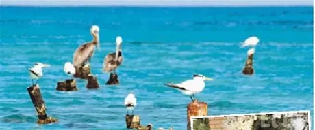 http://eldia.com.do/image/article/134/460×390/0/DE54BA3D-A889-4641-B1AB-AC0778F1867D.jpeg