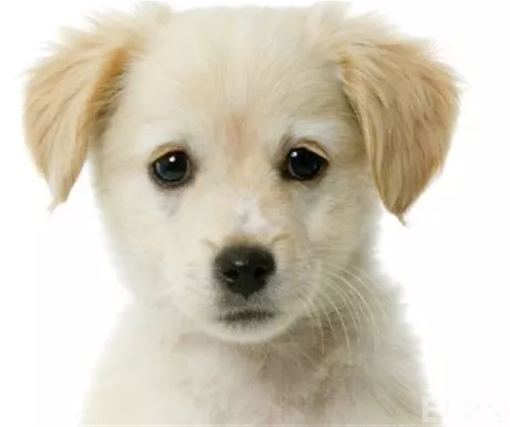 http://eldia.com.do/image/article/138/460×390/0/29702EA8-AF29-4620-BF6F-DFF9C2C07AB4.jpeg