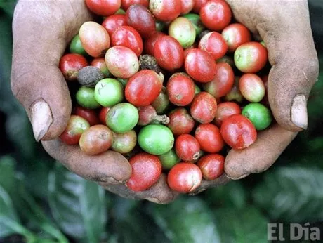http://eldia.com.do/image/article/137/460×390/0/6D9846FA-FDED-4882-A8C8-D3DF21E89796.jpeg