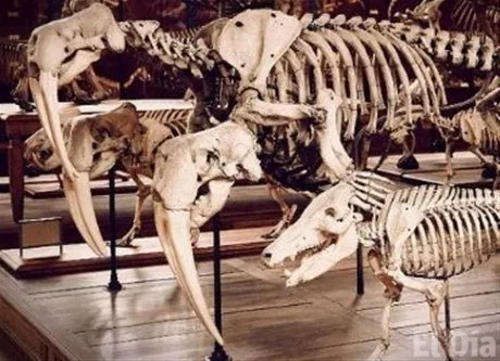 http://eldia.com.do/image/article/140/460×390/0/8040CCAF-D0CF-45C4-8AA0-1F6EE085AE7C.jpeg