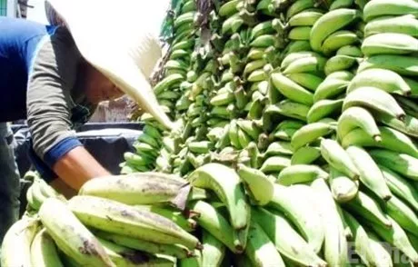 http://eldia.com.do/image/article/143/460×390/0/DCB2CF14-F81C-40E9-A88D-C7ADB4153904.jpeg